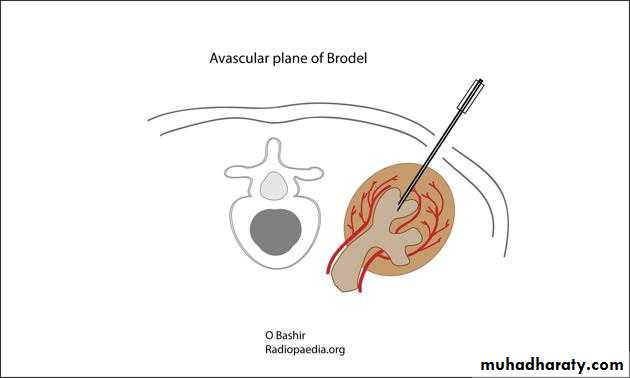 Urology