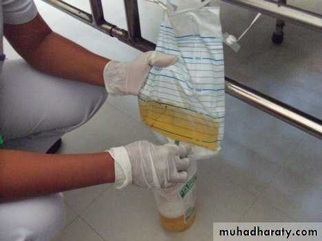 Urology