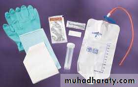 Urology