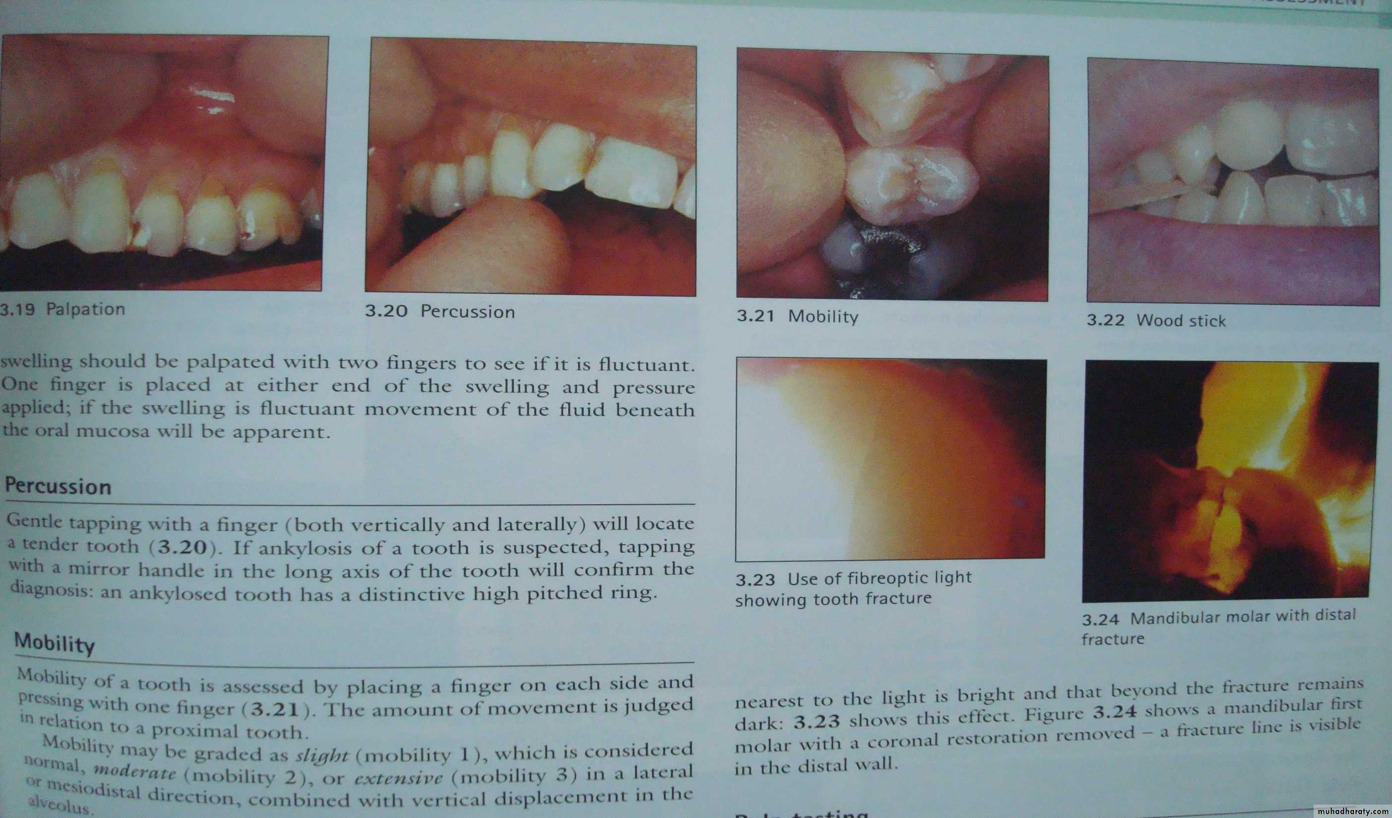 diagnostic procedures