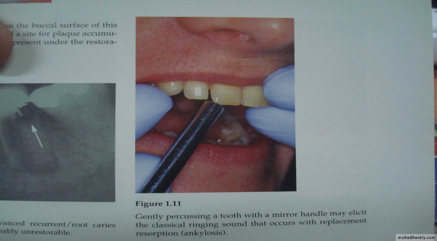 diagnostic procedures