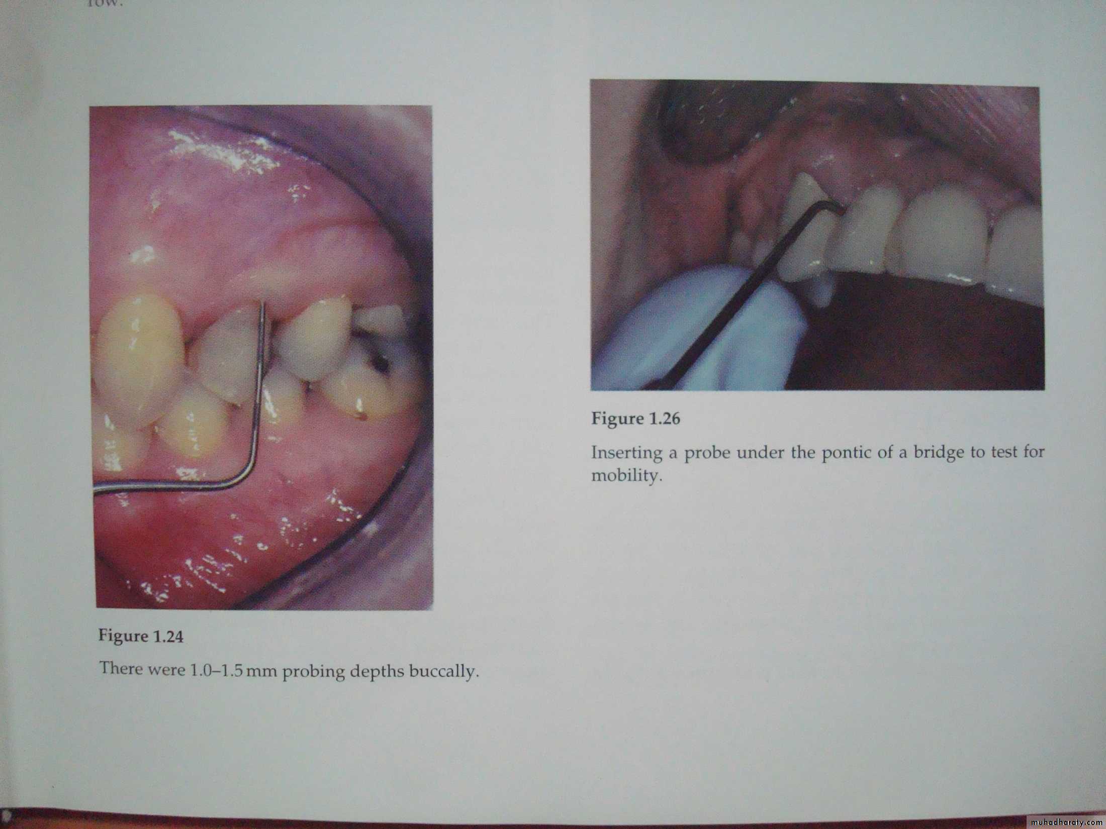 diagnostic procedures