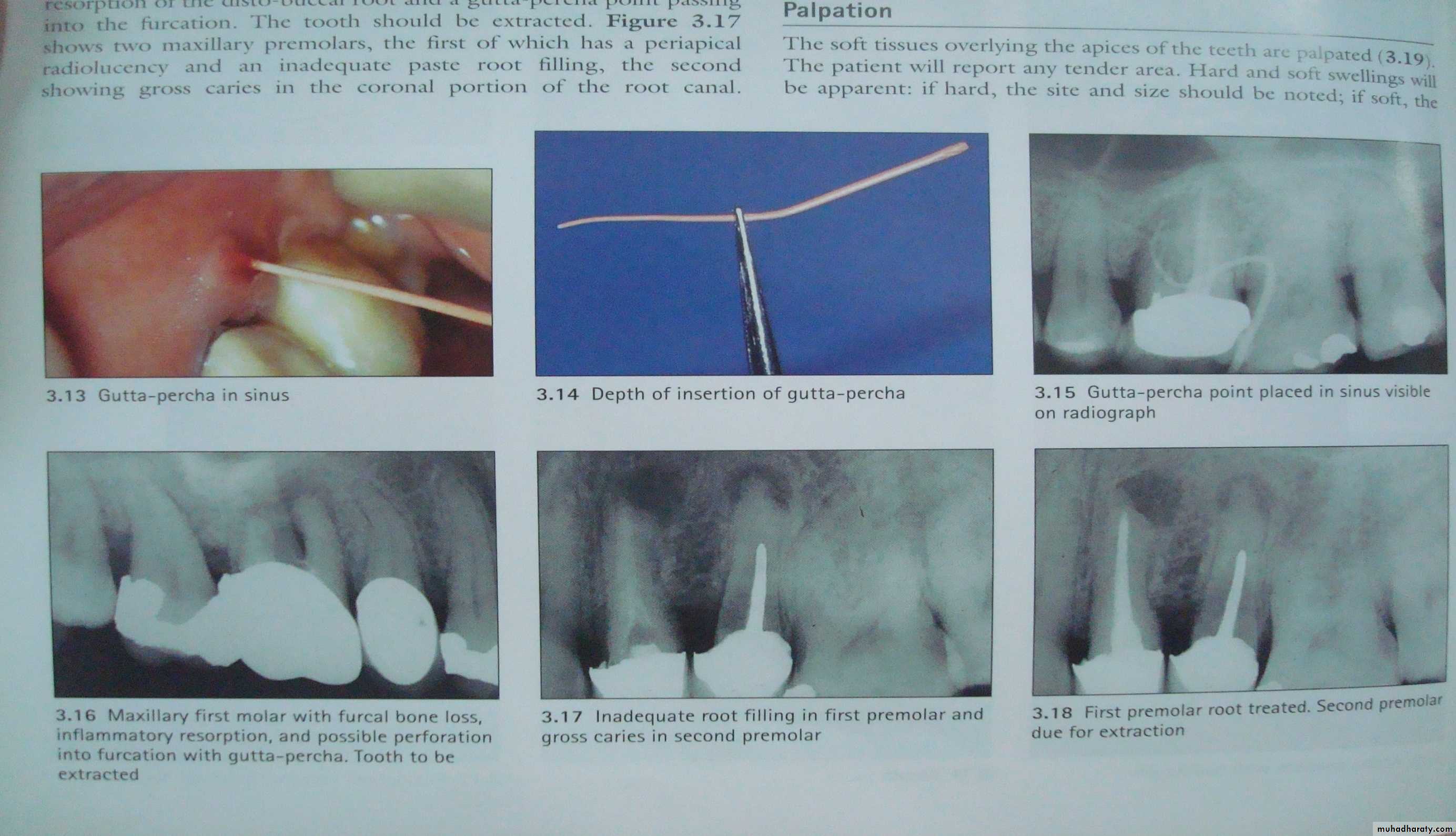 diagnostic procedures