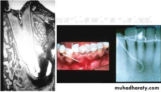 diagnostic procedures