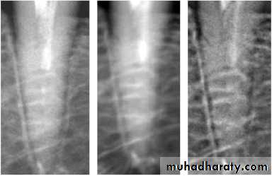 diagnostic procedures