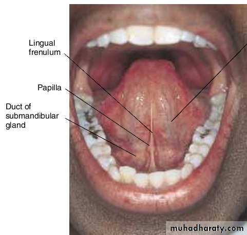 physical findings عملي