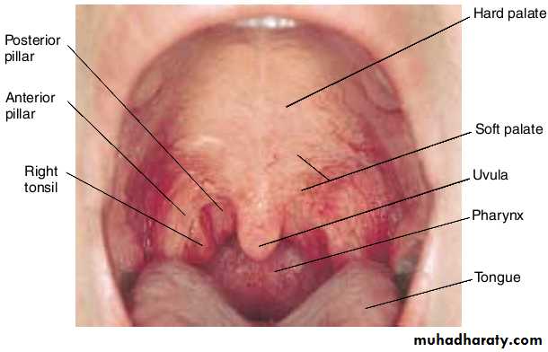 physical findings عملي