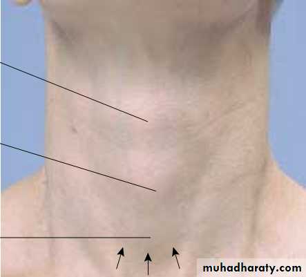 physical findings عملي