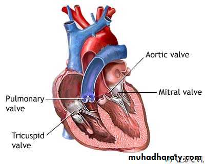 Valvular heart diseases