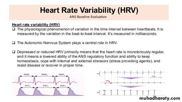 Intrapartum fetal monitoring