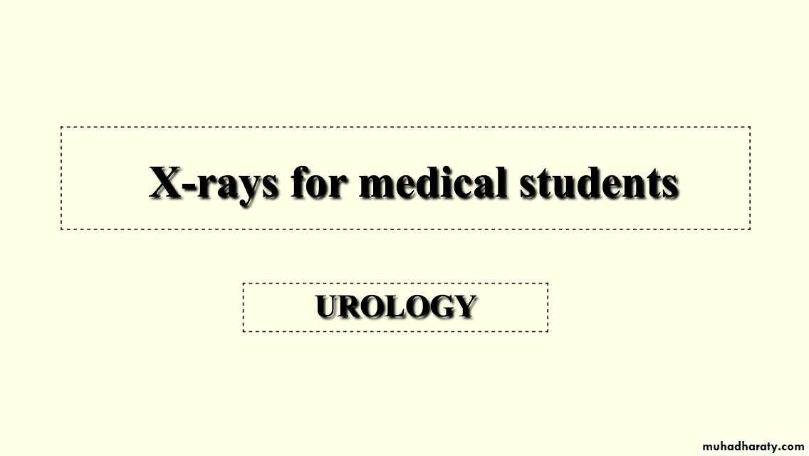 urology slides