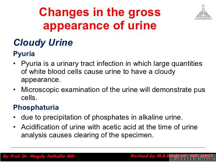 Urology
