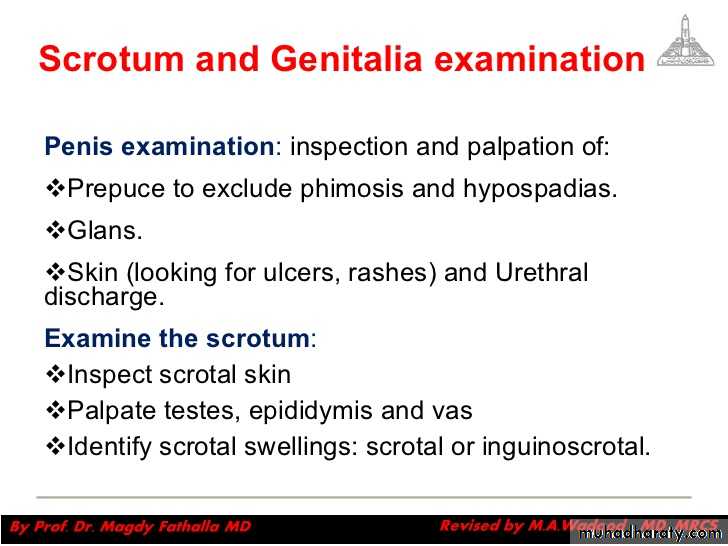 Urology