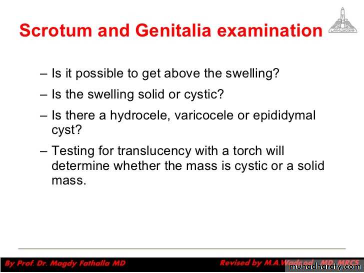 Urology