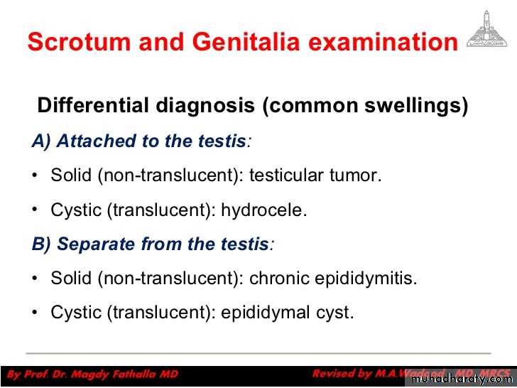 Urology