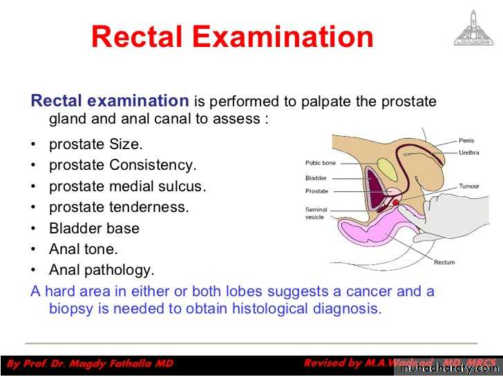 Urology