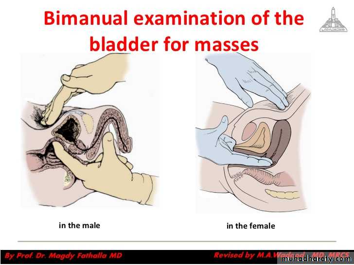 Urology