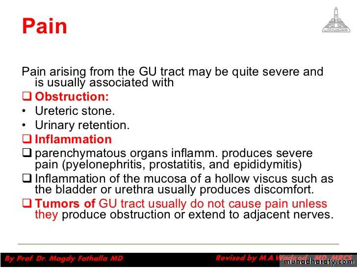 Urology
