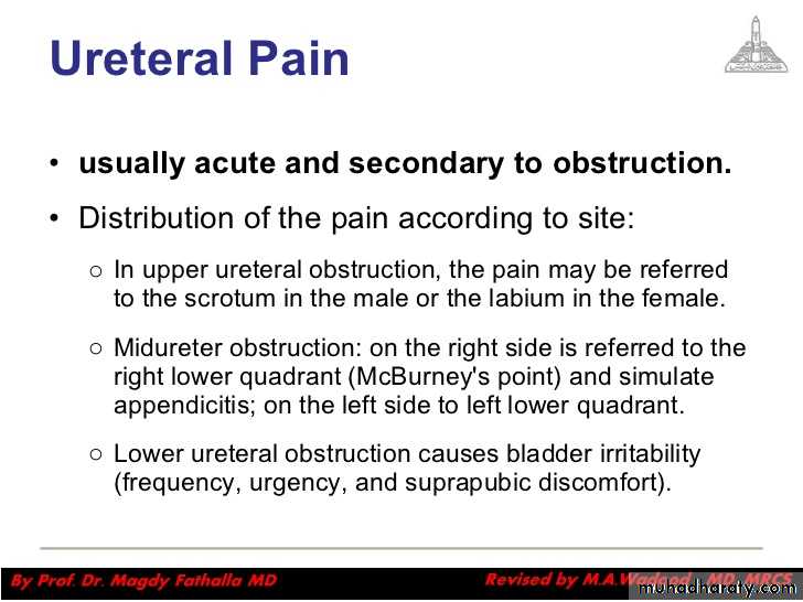 Urology