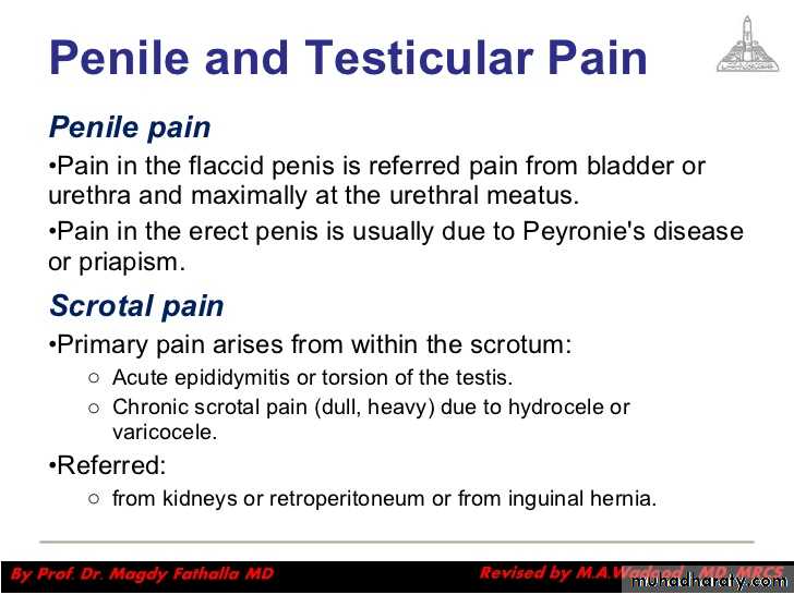Urology