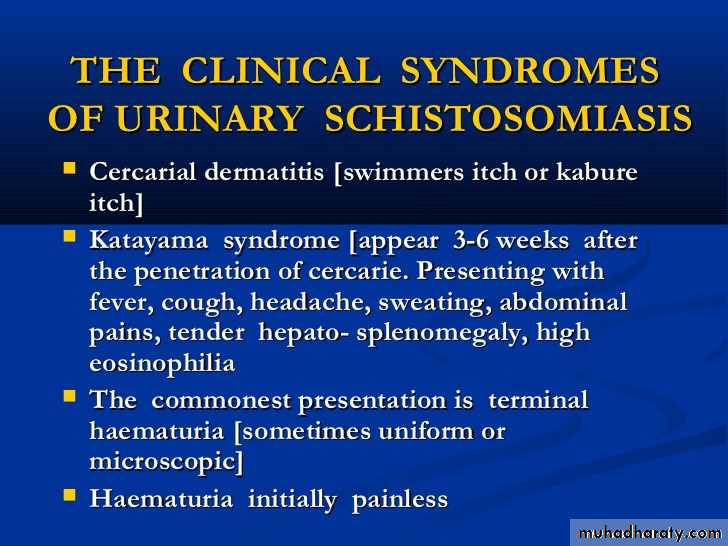Genitourinary tuberculosis