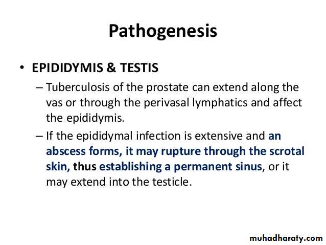 Genitourinary tuberculosis