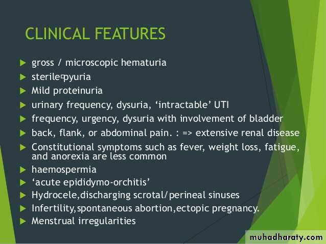 Genitourinary tuberculosis