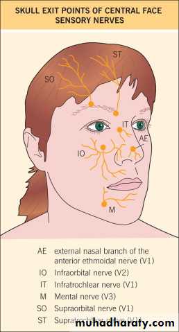 Local Anesthesia