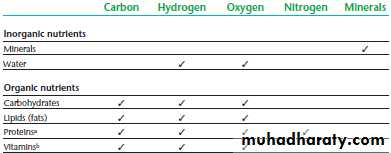 Nutrition