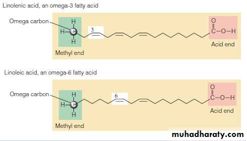 Nutrition