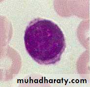 immunology 1