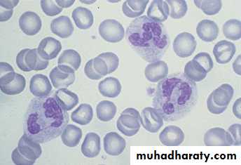 immunology 1