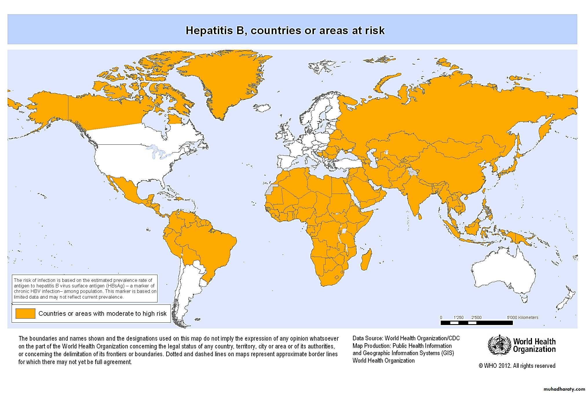 1 Viral Hepatitis