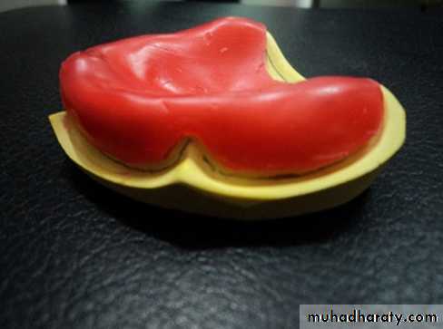 نظري