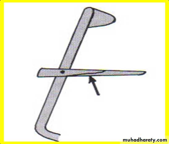 نظري
