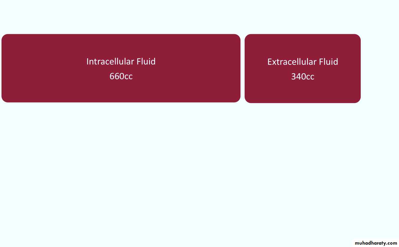 iv fluid