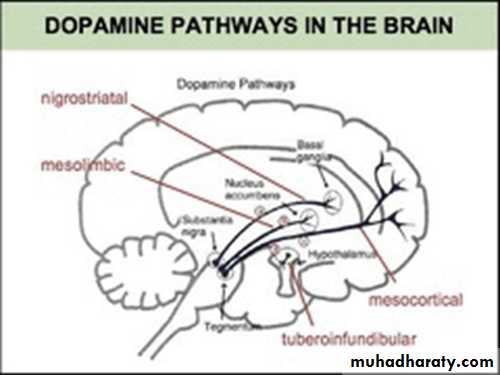 neuroleptic