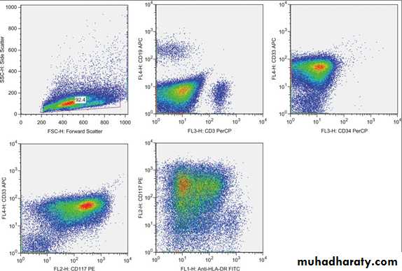 Acute myeloid leukaemia