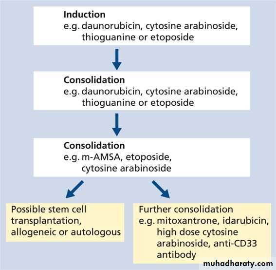 Acute myeloid leukaemia