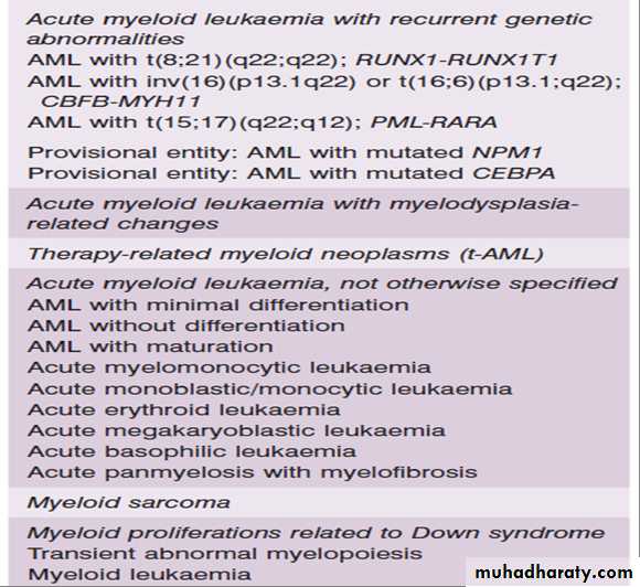 Acute myeloid leukaemia