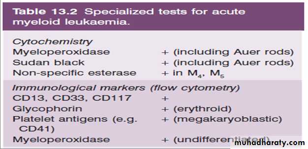Acute myeloid leukaemia