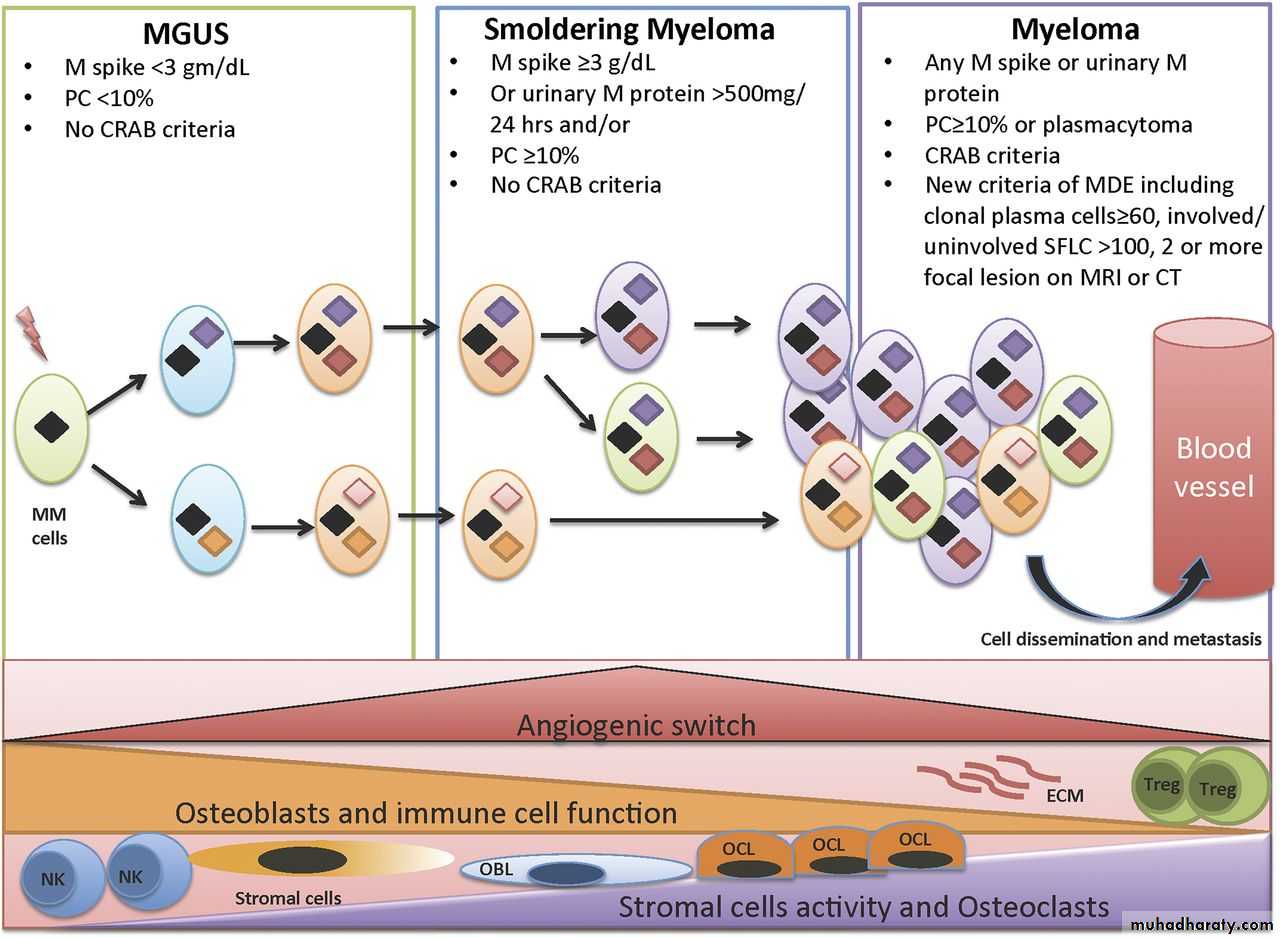 plasma cell tumors