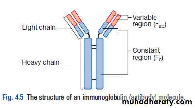 plasma cell tumors