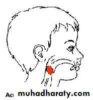 The larynx Lectures