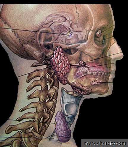 Diseases of salivary glands