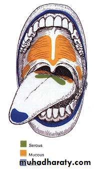 Diseases of salivary glands