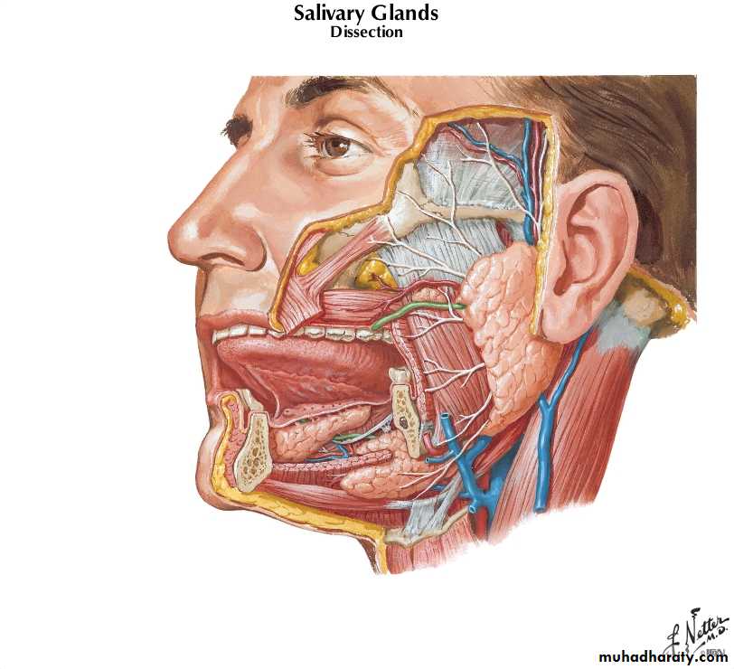 Diseases of salivary glands