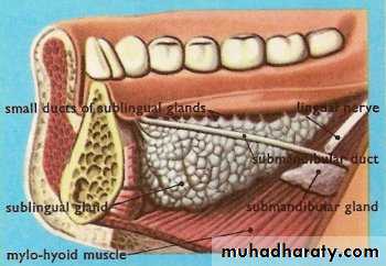 Diseases of salivary glands