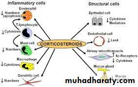 Pharmacology for Respiratory