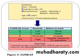 Pharmacology for Respiratory